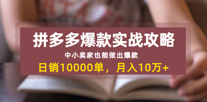 拼多多爆款实战攻略：中小卖家也能做出爆款-乐学教程网