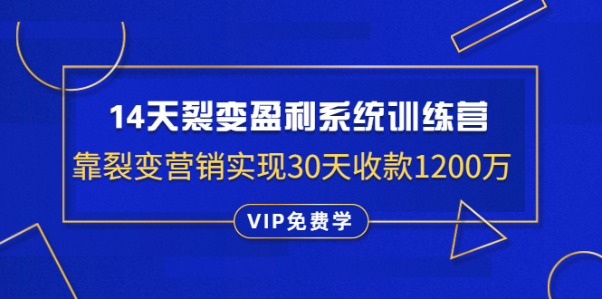 王六六：14天裂变盈利系统训练营-乐学教程网