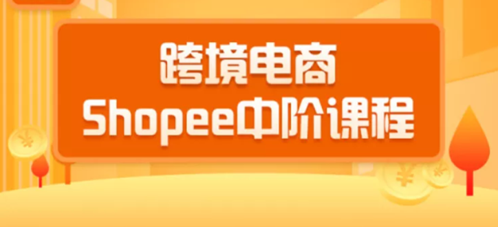 千鸟跨境：跨境电商蓝海新机会-shopee中阶课程(价值3900)-乐学教程网