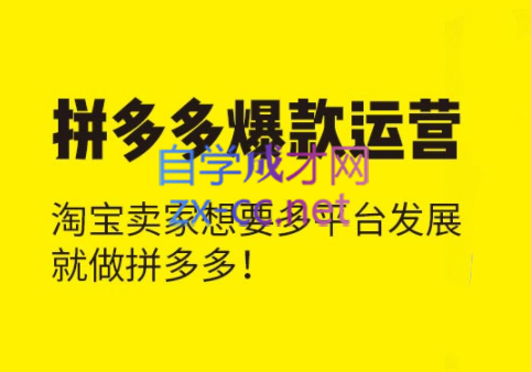 猫课·拼多多爆款运营课程【更新2023年】，价值3980元-乐学教程网