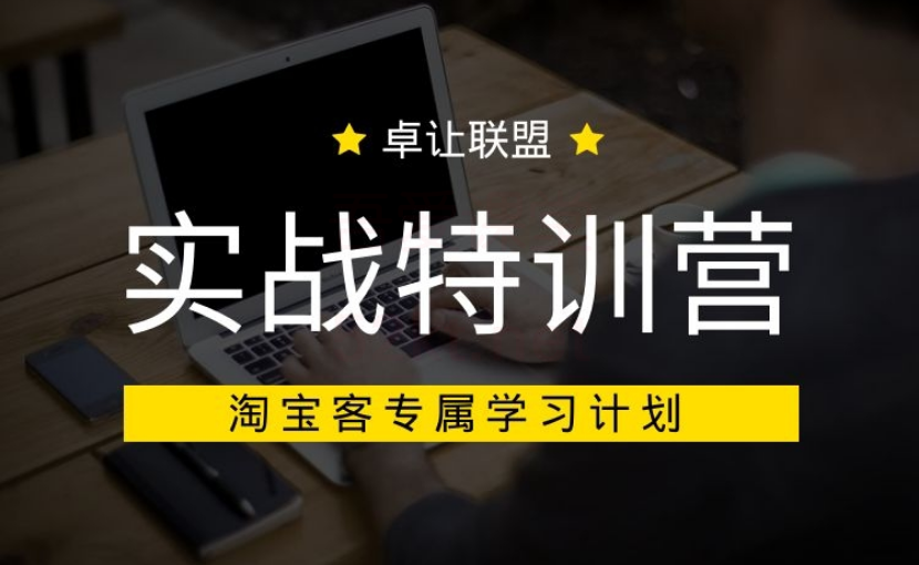 卓让联盟：淘宝客实战特训营VIP课程-乐学教程网