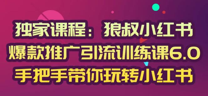 狼叔小红书爆款推广引流训练课6.0-乐学教程网