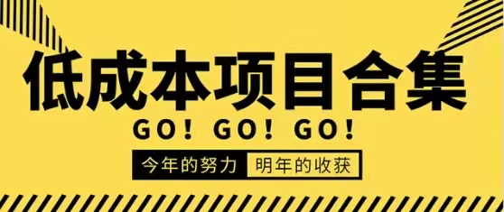 低成本零成本项目合集，价值万元资料-乐学教程网