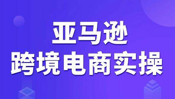 亚马逊跨境电商vip课程，价值3980元-乐学教程网