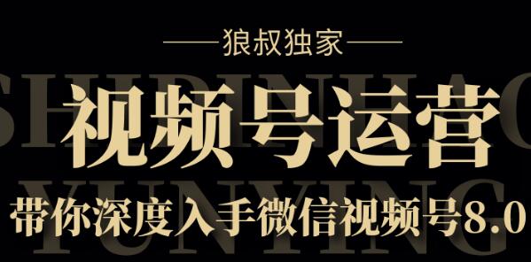 狼叔·视频号8.0运营实战课【无水印】-乐学教程网