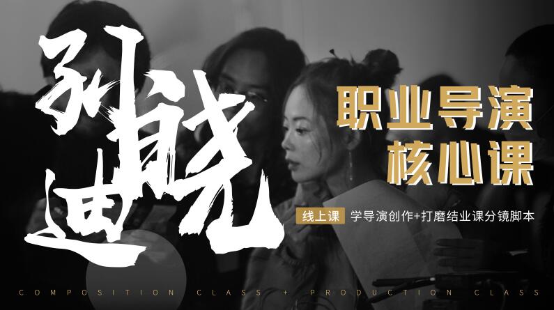 孙晓迪·职业导演核心课，价值6299元-乐学教程网