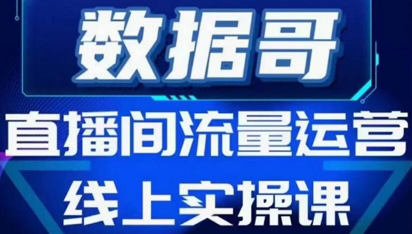 数据哥流量运营线上实操课，价值398元-乐学教程网