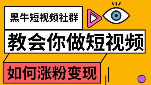 陈大黑牛·教会你做短视频涨粉变现，价值800元-乐学教程网