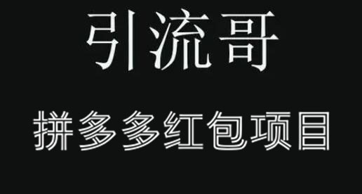 引流哥·拼多多红包项目第1期，价值666元-乐学教程网