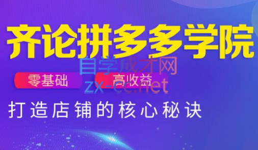 齐论拼多多vip课程（更新2023年1月）-乐学教程网