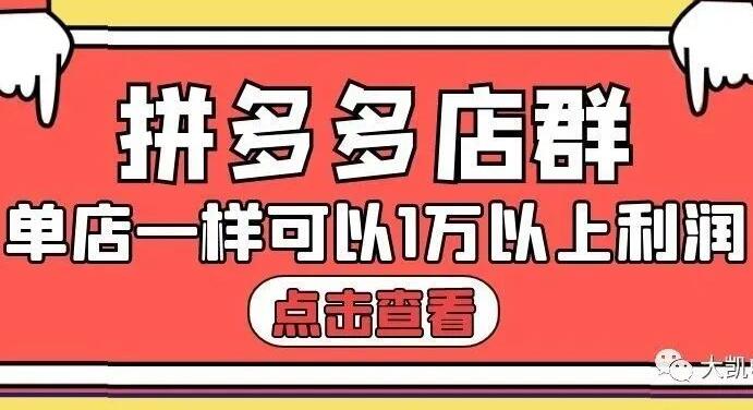 大凯电商·拼多多也可以单店产出1万5以上利润-乐学教程网