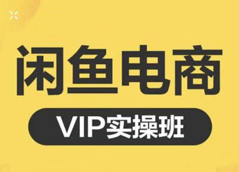 鱼客·闲鱼电商零基础入门到进阶VIP实战课程-乐学教程网