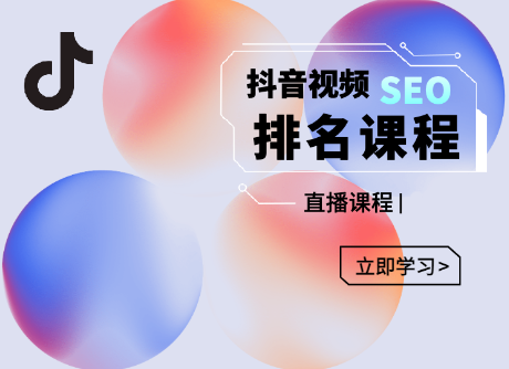 森淼·抖音SEO排名引流变现，价值1680元-乐学教程网