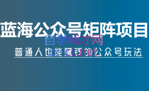 倪叶明·蓝海公众号矩阵项目训练营，价值1800元-乐学教程网