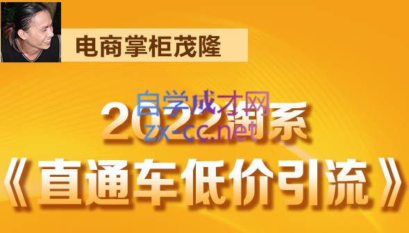 电商掌柜杨茂隆·2022直通车低价引流玩法课程，价值1998元-乐学教程网