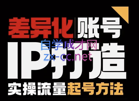 小呆·差异化IP实操训练营（陪跑课升级版），价值3980元-乐学教程网