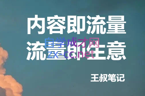 王叔·21天文案引流训练营，价值299元-乐学教程网