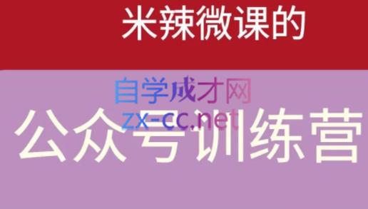 米辣微课·蓝海公众号项目训练营，价值1288元-乐学教程网