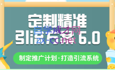 制定精准引流方案专栏6.0，价值1380元-乐学教程网