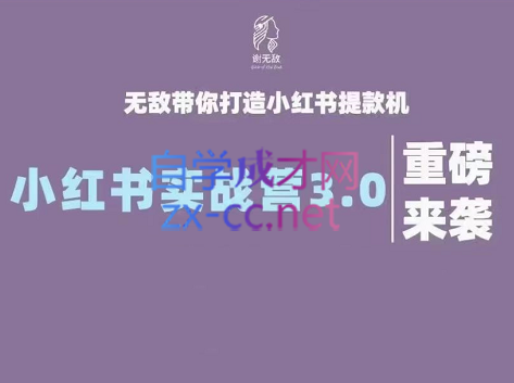 谢无敌·小红书实战营3.0，价值7999元-乐学教程网