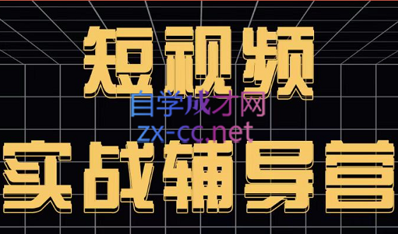 达人队长·短视频实战辅导营，价值399元-乐学教程网