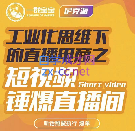 尼克派·工业化思维下的直播电商，价值6980元-乐学教程网