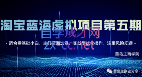 黄岛主·淘宝蓝海虚拟项目陪跑训练营3.0+4.0+5.0，价值1988元-乐学教程网