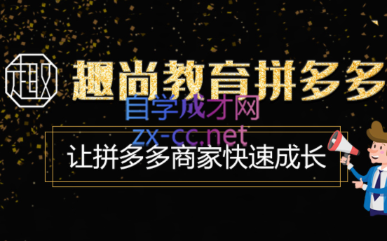 趣尚教育·拼多多运营实操VIP特训营，价值3180元-乐学教程网