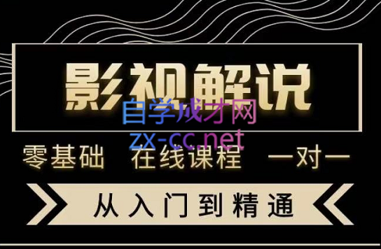 野草君·影视解说陪跑训练营，从新手进阶到成熟自媒体达人，价值699元-乐学教程网