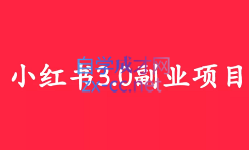 野路子实验室·小红书3.0副业项目，价值1590元-乐学教程网