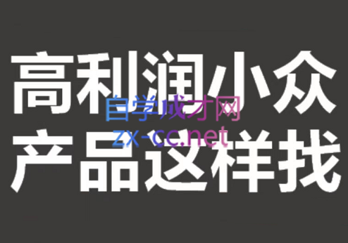 进击的恐龙电商·淘宝小众蓝海-选品方法论，价值599元-乐学教程网