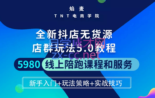 焰麦TNT电商学院·抖店无货源5.0进阶版密训营，价值5980元-乐学教程网