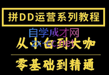 2022全套拼多多核心实操课程，价值500元-乐学教程网