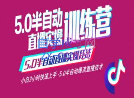 蚂蚁·5.0半自动直播2345心法，价值千元-乐学教程网