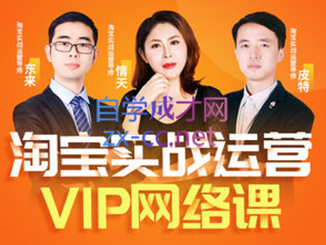 淘宝VIP线上直播课（八月完结），价值7580元-乐学教程网