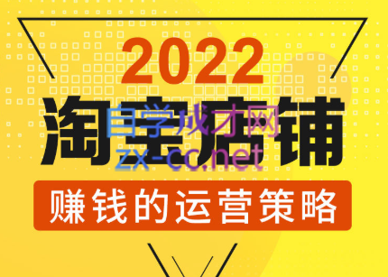 震宇老师·2022年淘宝店铺赚钱的运营策略-乐学教程网