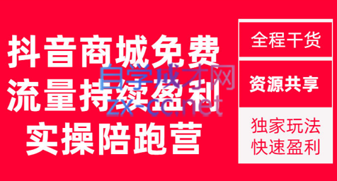 无山电商·抖音商城搜索持续盈利陪跑成长营【更新11月】，价值1980元-乐学教程网