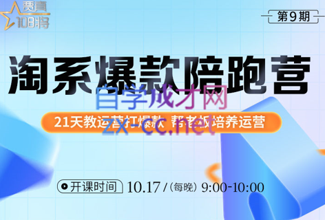 108将淘系爆款陪跑营【第九期】，价值2999元-乐学教程网