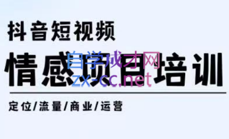 丁老师·抖音短视频情感项目培训，价值1080元-乐学教程网