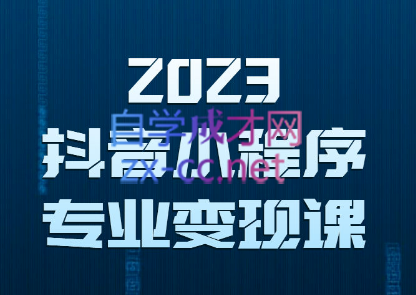 云老师·2023抖音小程序专业变现课，价值3980元-乐学教程网