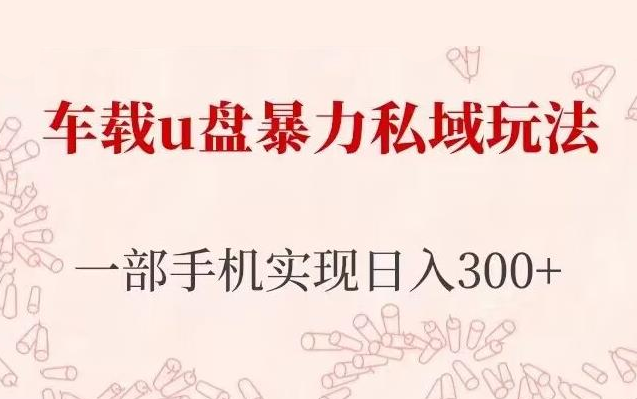 长期项目：车载u盘暴力私域玩法，仅需一部手机实现日入300+-乐学教程网