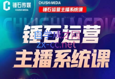 锤石传媒·2023运营主播系统课+文全老师直播（两套），价值6800元-乐学教程网