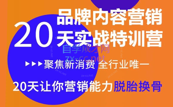 《内容营销实操特训营》20天让你营销能力脱胎换骨-乐学教程网