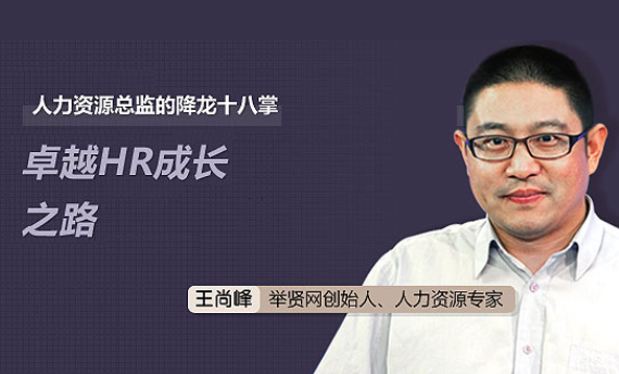 人力资源总监的降龙十八掌：卓越HR成长之路-乐学教程网