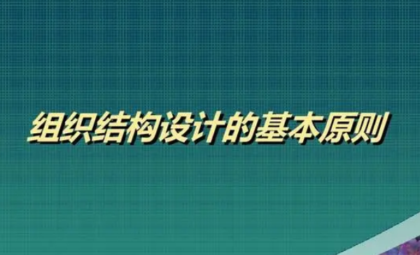 设计组织结构的基本原则-乐学教程网