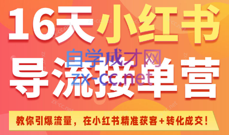 16天小红书导流接单营（6月25日-7月10日）-乐学教程网