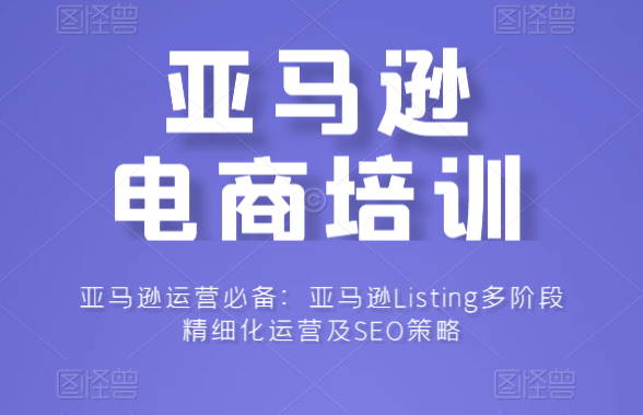 亚马逊运营必备：亚马逊Listing多阶段精细化运营及SEO策略-乐学教程网