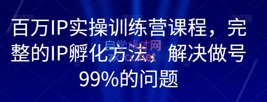 新哥·百万IP实操训练营课程-乐学教程网