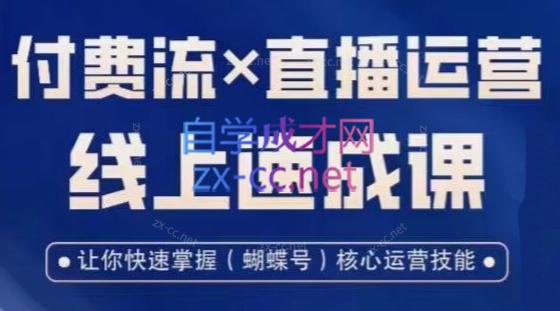 吕承洺·视频号付费流实操课程×直播运营线上速成课-乐学教程网