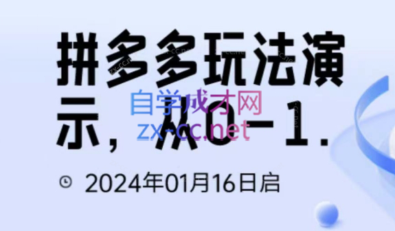 吴老师·拼多多从选品到截流到付费的玩法技巧-乐学教程网